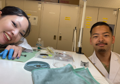 ファイアーキッズ 学校、資格